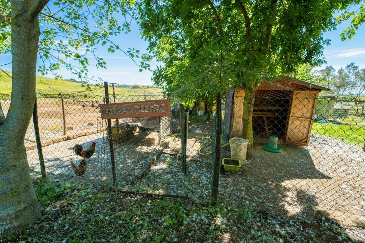 Agriturismo Zugarelli อันกุยลารา ซาบาเซีย ภายนอก รูปภาพ